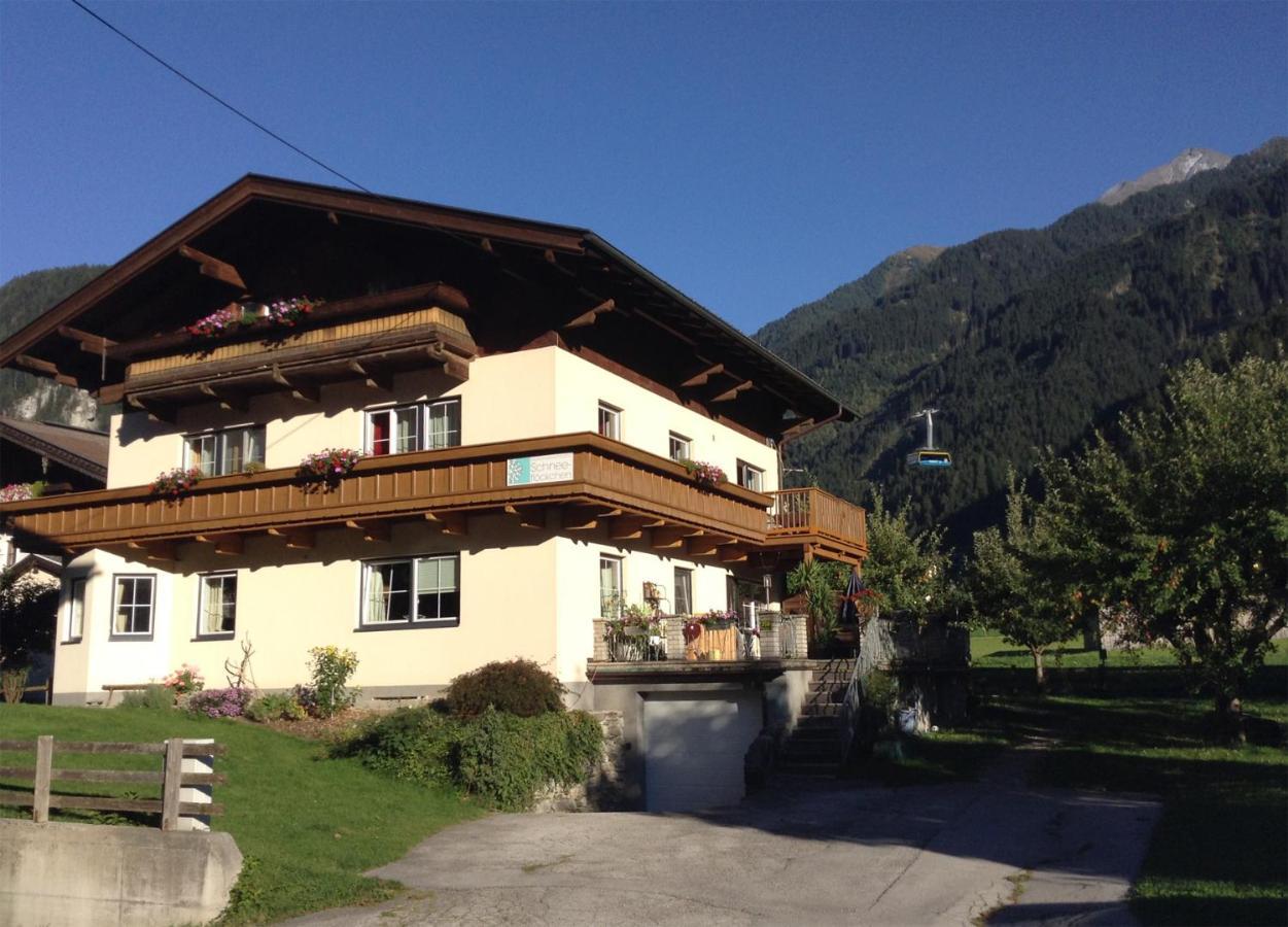 Appartement Schneeflockchen ไมย์อาโฮเฟิน ภายนอก รูปภาพ